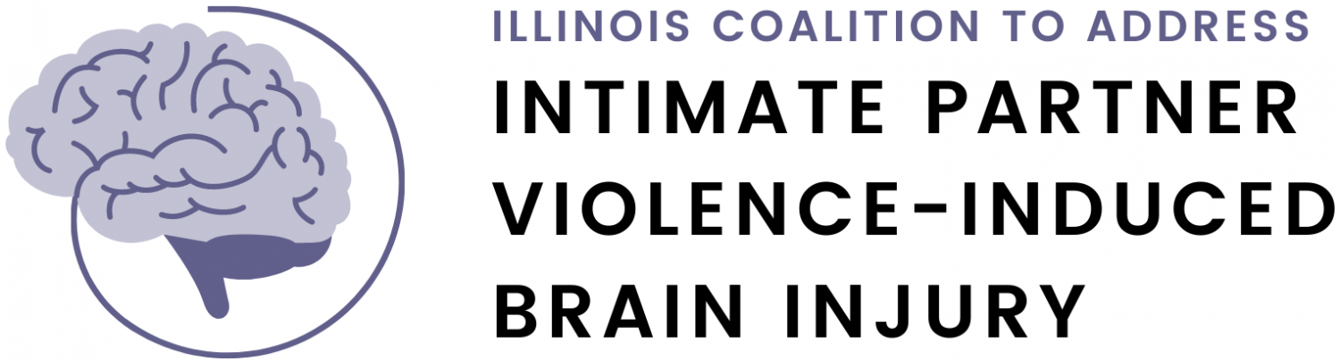 Home [tbi-dv-il.org]